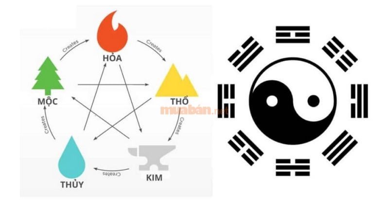 Ngũ hành của Tân Sửu 1961 thuộc mệnh Thổ, tương sinh với mệnh Hỏa của năm 2025