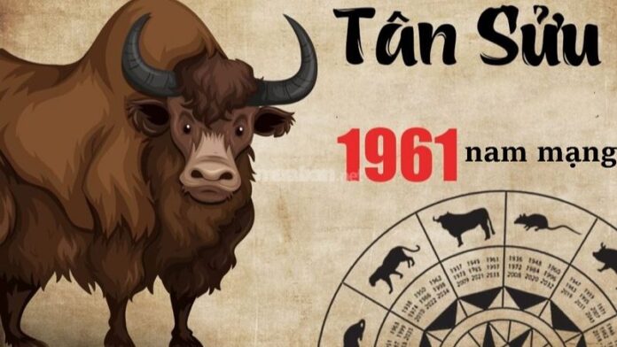 Tử vi tuổi Tân Sửu 1961 nam mạng 2025