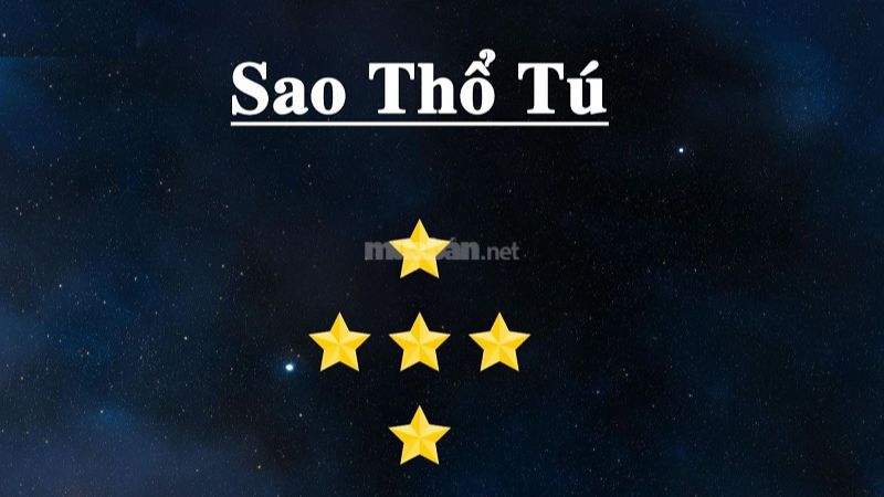 Tử vi tuổi Tân Sửu 1961 nam mạng 2025 có sao Thổ Tú chiếu mệnh