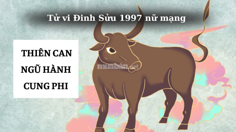 Tử vi Đinh Sửu 1997 nữ mạng xét theo Thiên can, Ngũ hành, Cung phi