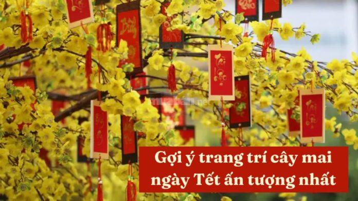 Trang trí cây mai ngày tết