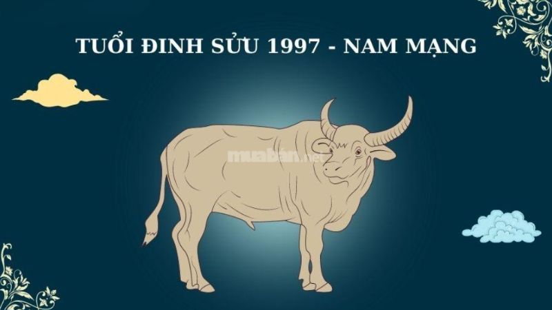 Tử vi Đinh Sửu 1997 nam mạng xét theo ngũ hành