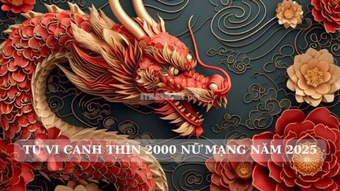 Tử vi tuổi Canh Thìn 2000 nữ mạng 2025 - Nguồn: Internet