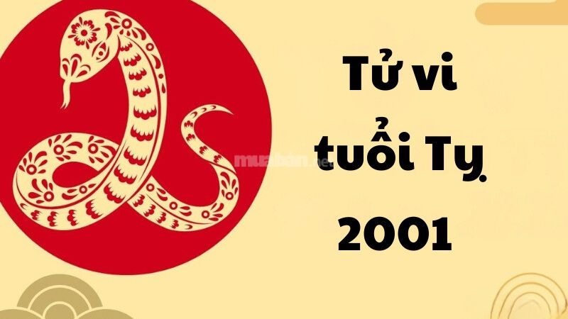 Vận niên của nữ mạng Tân Tỵ 2001 trong năm 2025 là Mã Trúng Đao trong tử vi.