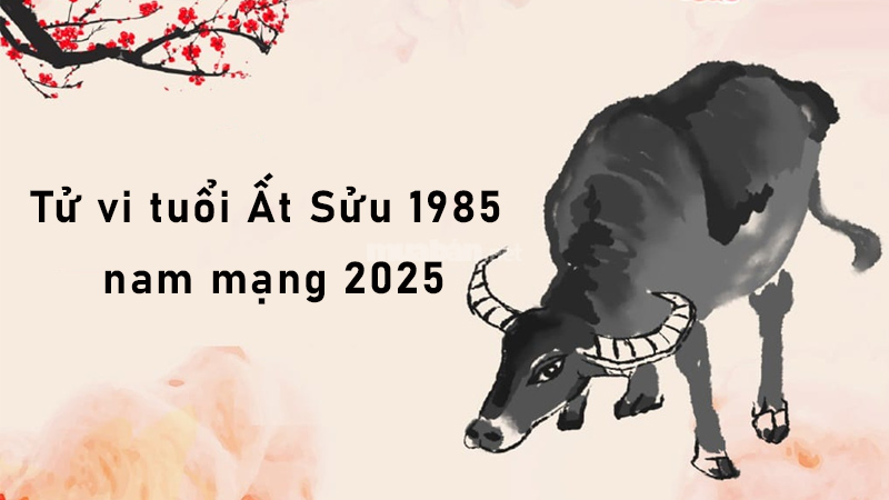 Tử vi tuổi Ất Sửu 1985 nam mạng 2025