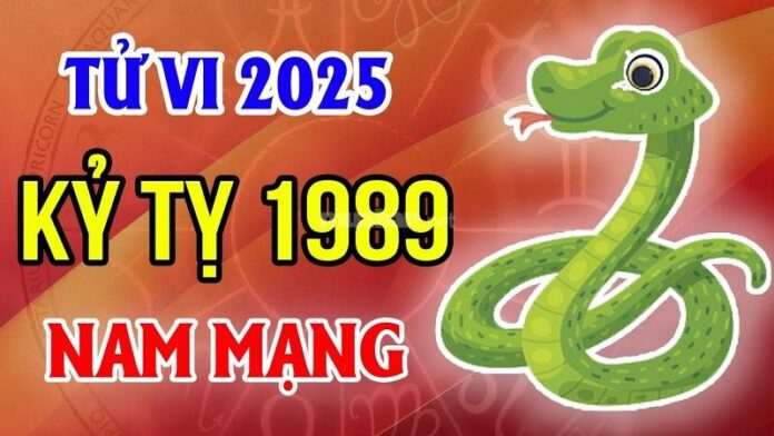 Tử vi tuổi Kỷ Tỵ 1989 nam mạng 2025