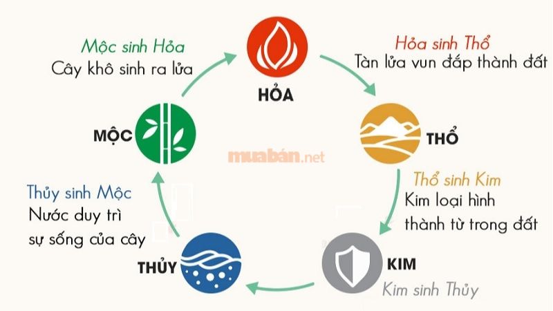 Ngũ hành Kỷ Tỵ 1989 thuộc mệnh Mộc tương sinh với mệnh Hỏa của Ất Tỵ 2025