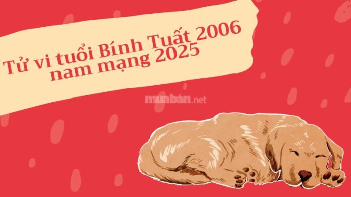 Tử vi tuổi Bính Tuất 2006 nam mạng 2025