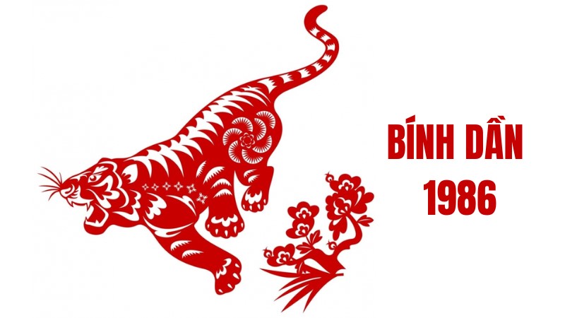 Bình giải tử vi tuổi Bính Dần 1986 nam mạng 2025