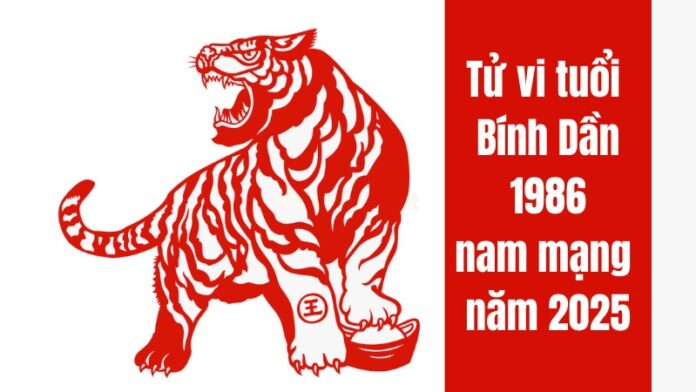 Bình giải tử vi tuổi Bính Dần 1986 nam mạng 2025, những điều cần lưu ý