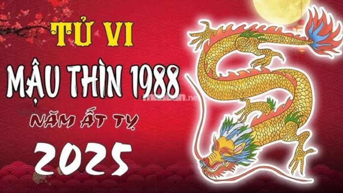 Tử vi tuổi Mậu Thìn 1988 nam mạng 2025