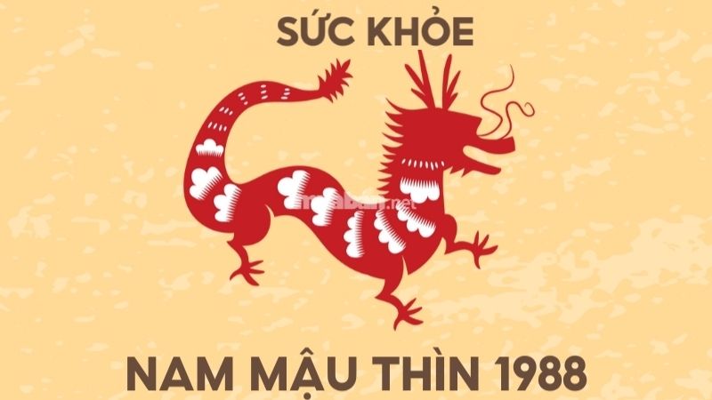 Sức khoẻ nam mậu Thìn 1988