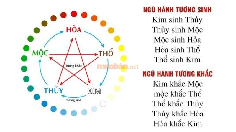 Tử vi Mậu Thìn 1988 nam mạng xét theo thiên can, ngũ hành, cung phi