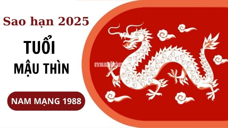 Sao hạn của tuổi Mậu Thìn 1988 năm 2025