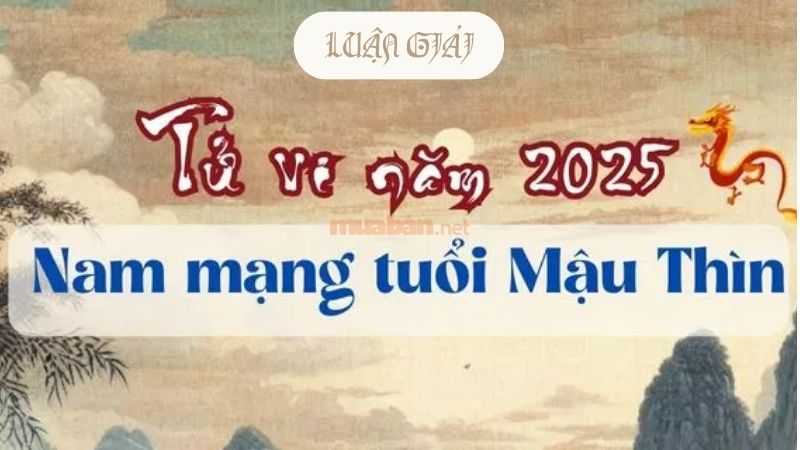 Luận giải lá số tử vi Mậu Thìn 1988 nam mạng 12 tháng năm 2025