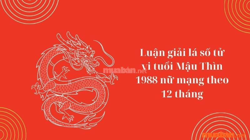 Luận giải lá số tử vi tuổi Mậu Thìn 1988 nữ mạng 12 tháng năm 2025