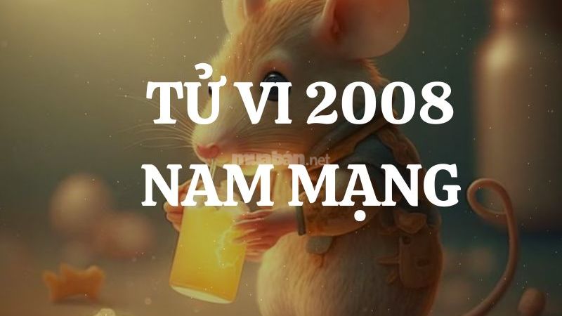 Tổng quan về Tử Vi Tuổi Nhâm Tý 1972 Nam Mạng 2025.