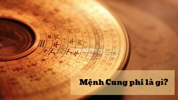 Mệnh cung phi là gì?