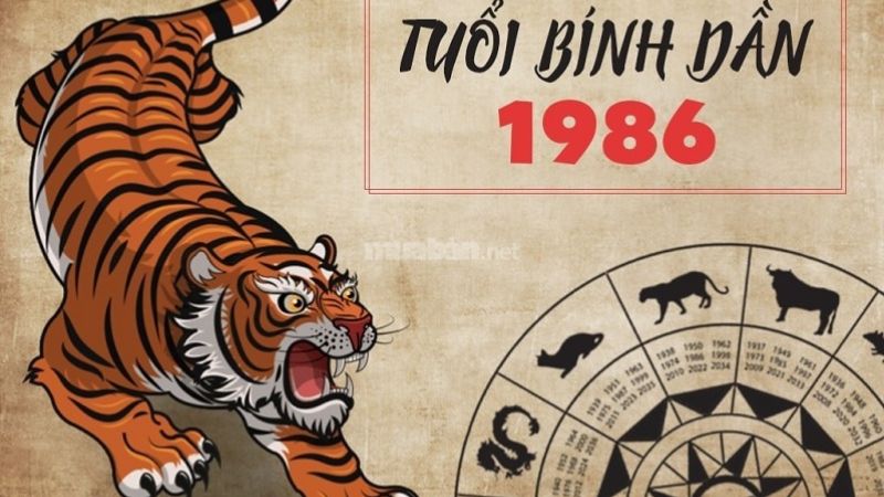 Tử vi tuổi Bính Dần 1986 nữ mạng 2025