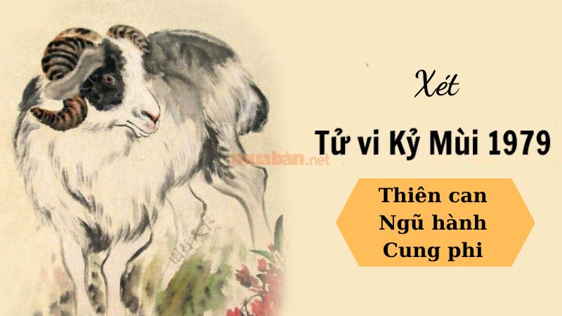 Tử vi Kỷ Mùi 1979 nữ mạng xét theo thiên can, ngũ hành, cung phi