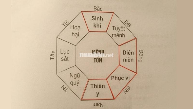 Nữ mạng Kỷ Tỵ 1989 có cung phi Tốn, ngũ hành Mộc