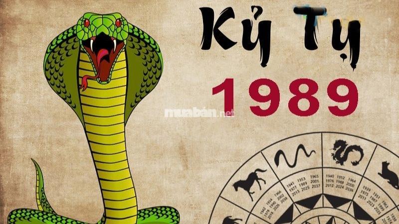 Luận giải lá số tử vi Kỷ Tỵ 1989 nữ mạng 12 tháng năm 2025