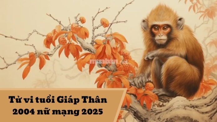 Tử vi tuổi Giáp Thân 2004 nữ mạng 2025