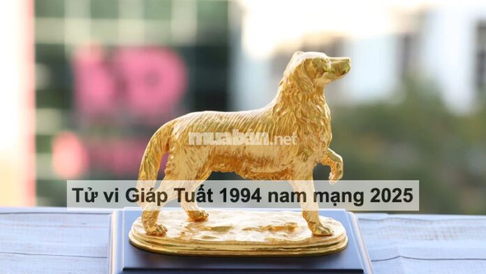 Tử vi Giáp Tuất 1994 nam mạng 2025 - Tài lộc thăng tiến