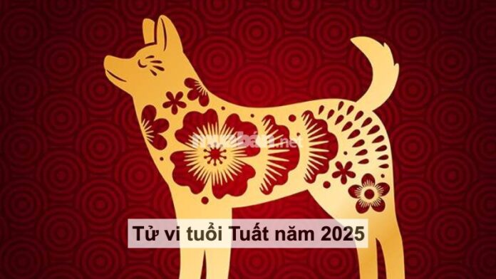 Bình giải tử vi tuổi Tuất 2025 đầy đủ và chi tiết nhất