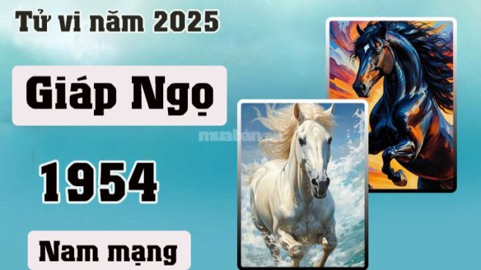 Tử vi tuổi Giáp Ngọ 1954 nam mạng 2025: Dự đoán chi tiết