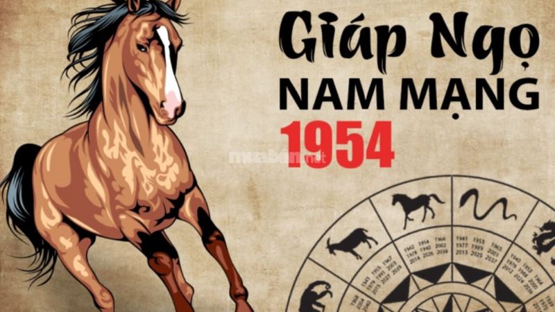 Tổng quan về Tử vi tuổi Giáp Ngọ 1954 nam mạng 2025.