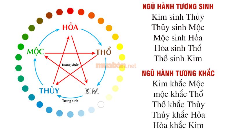 Tử vi Giáp Ngọ 1954 nam mạng xét theo ngũ hành