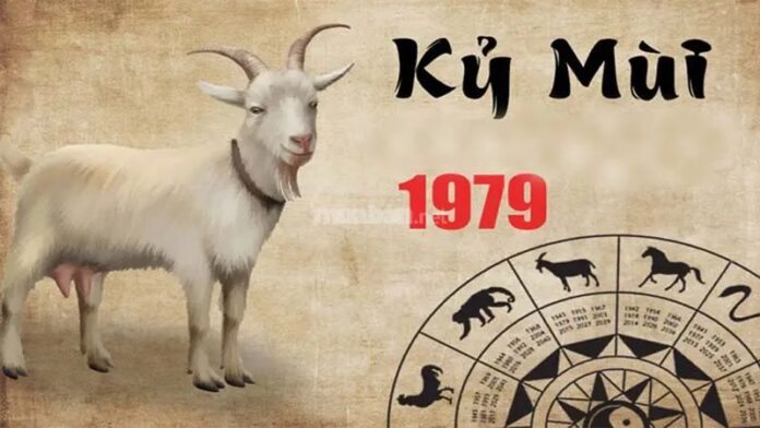 Tử vi Kỷ Mùi 1979 nam mạng năm 2025: Vận mệnh ra sao?