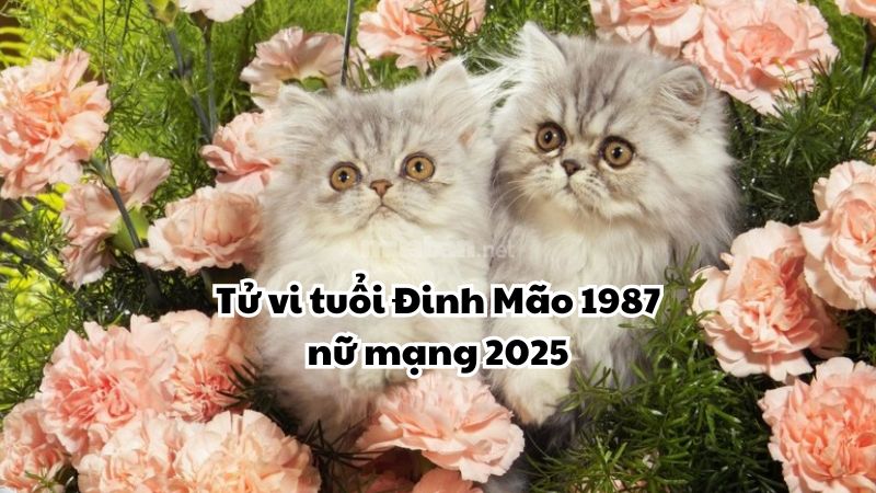 Tổng quan về tuổi Đinh Mão 1987 nữ mạng