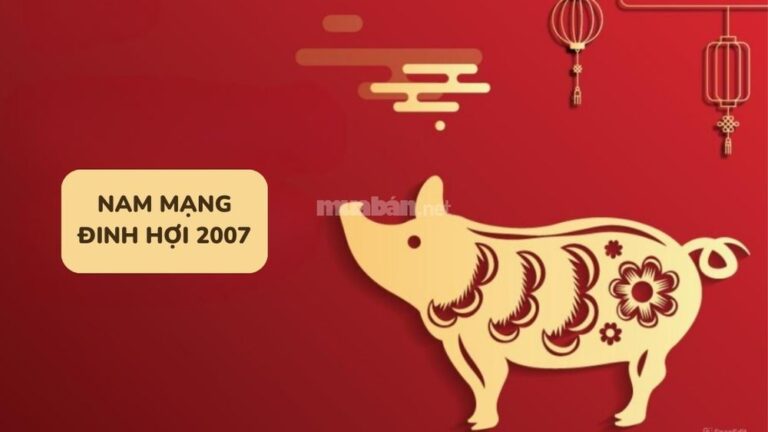 Luận giải tử vi tuổi Đinh Hợi 2007 nam mạng 2025 chi tiết nhất