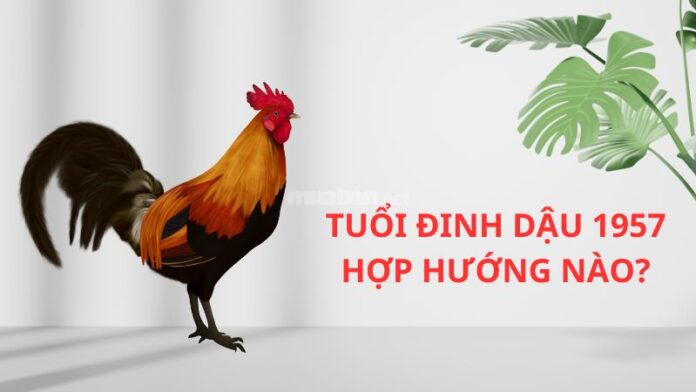 Tuổi Đinh Dậu 1957 Hợp Hướng Nào Để Thu Hút Vận May?