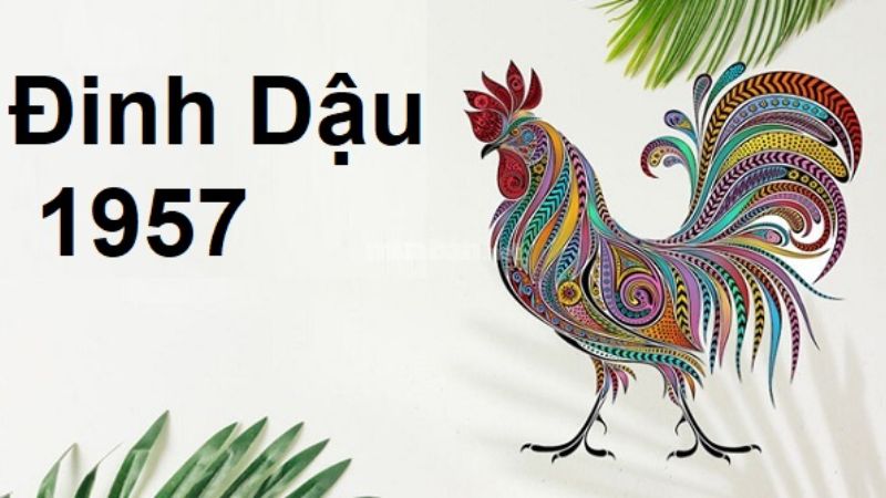 Tổng quan tử vi tuổi Đinh Dậu 1957.