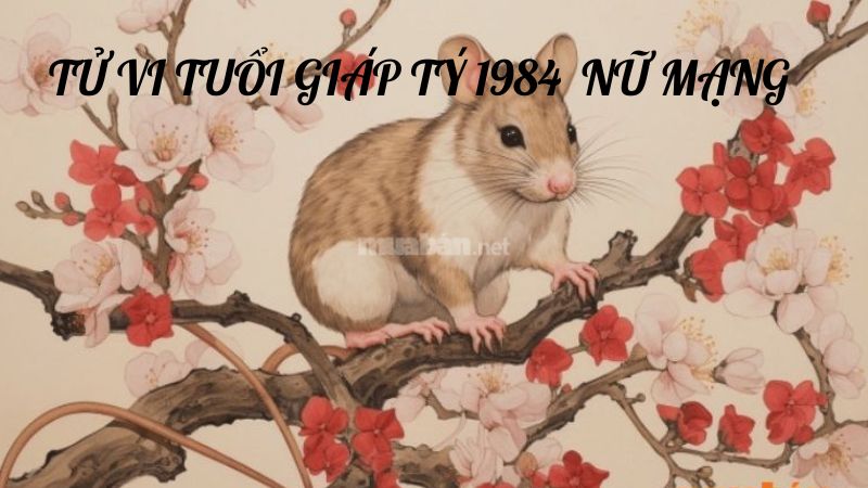 Tổng quan về tử vi tuổi Giáp Tý 1984 nữ mạng 2025