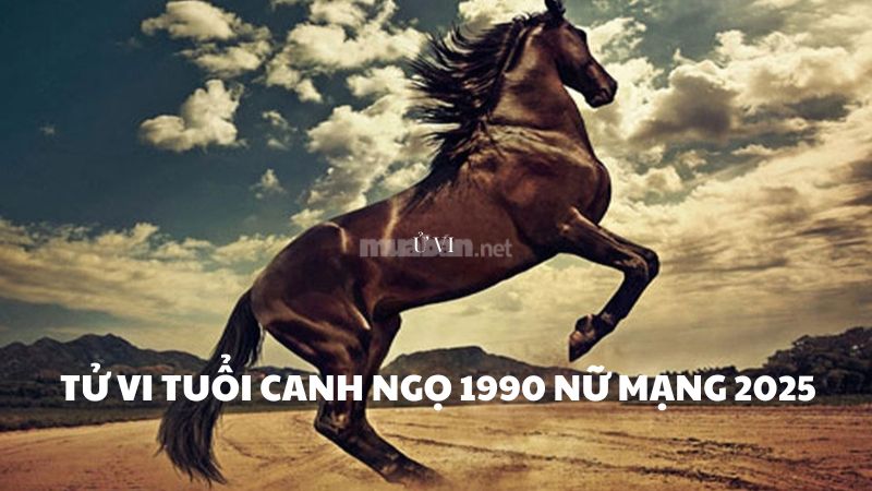 Luận giải lá số tử vi tuổi Canh Ngọ 1990 nữ mạng 2025 trong 12 tháng âm lịch