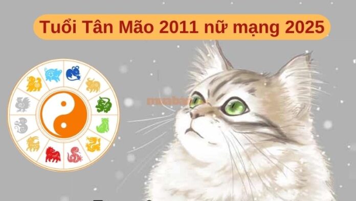 Tử vi tuổi Tân Mão 2011 nữ mạng 2025