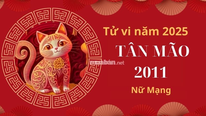 Tìm hiểu tử vi tuổi Tân Mão 2011 nữ mạng 2025