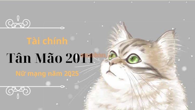 Tài chính tuổi Tân Mão 2011 nữ mạng 2025