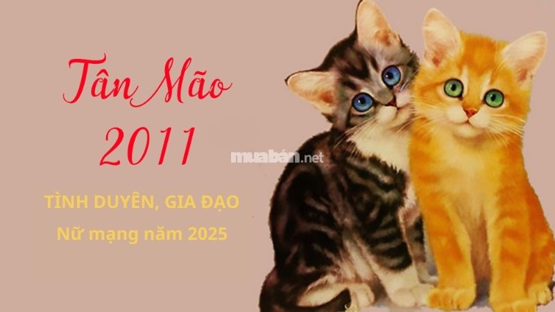 Tình duyên nữ Tân Mão 2011 năm2025