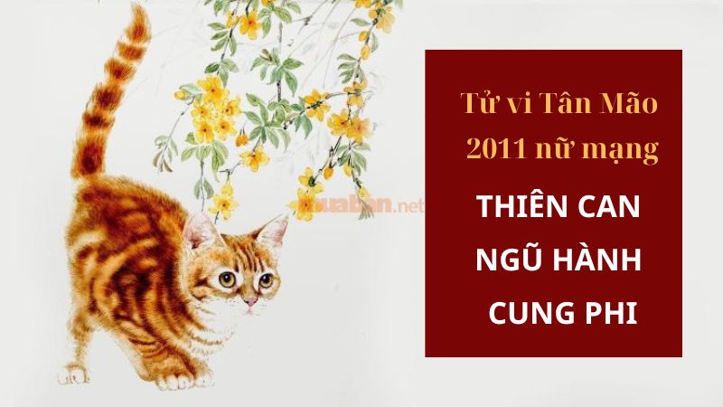 Tử vi tuổi Tân Mão 2011 nữ mạng 2025 xét theo thiên can, ngũ hành, cung phi