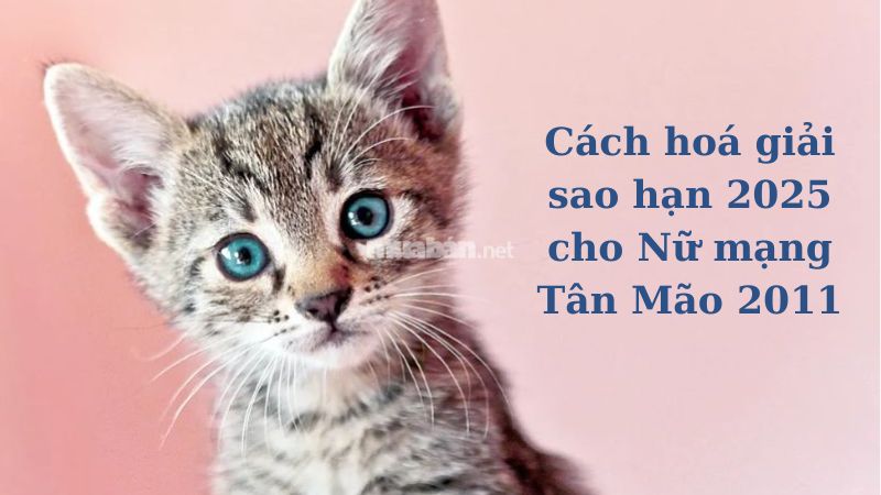 Cách hóa giải sao hạn cho nữ mạng Tân Mão 2011 năm 2025