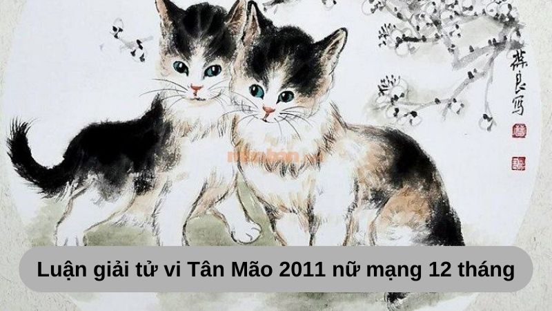 Luận giải lá số tử vi Tân Mão 2011 nữ mạng 12 tháng năm 2025