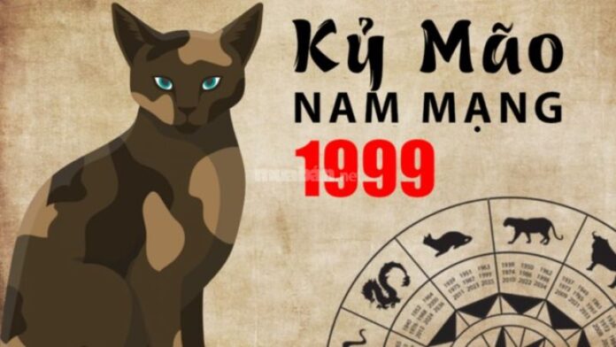 Dự Đoán Tử Vi Tuổi Kỷ Mão 1999 Nam Mạng 2025