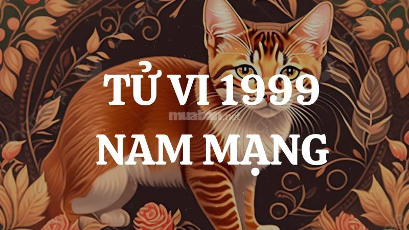 Tổng quan về tử vi tuổi Kỷ Mão 1999 nam mạng 2025