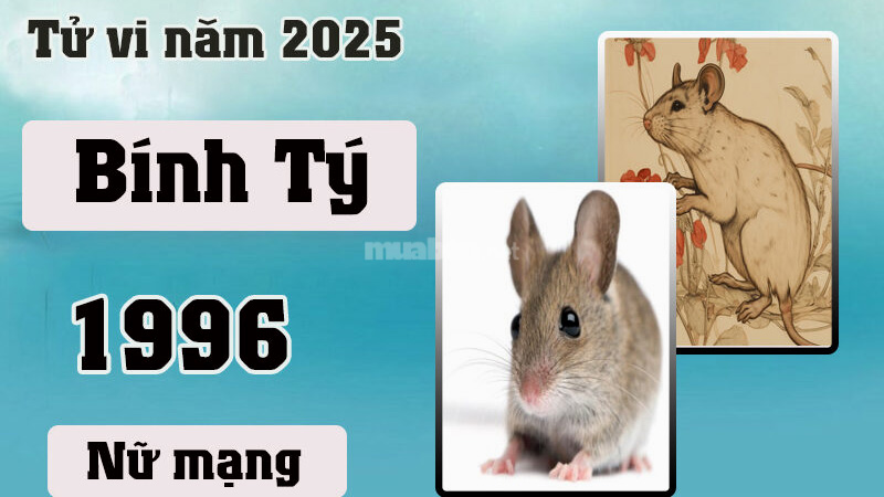 Tử vi tuổi Bính Tý 1996 nữ mạng 2025