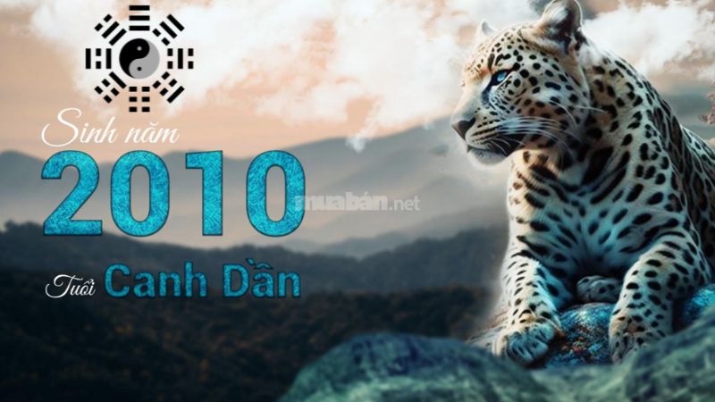 Tử vi Canh Dần 2010 nam mạng xét theo ngũ hành